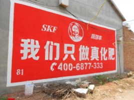 柞水刷墙广告”蕴含了时代命题