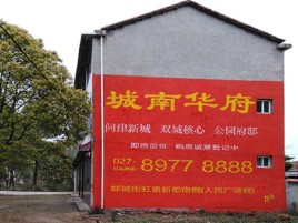 柞水百分之90的人都不了解的农村墙体广告