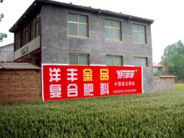 柞水如何让墙体广告展现最大化效果