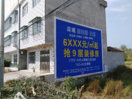 柞水墙体广告质量分析