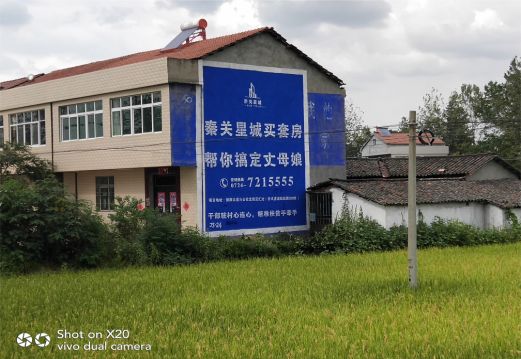 柞水决定墙体广告价格的因素有哪些？