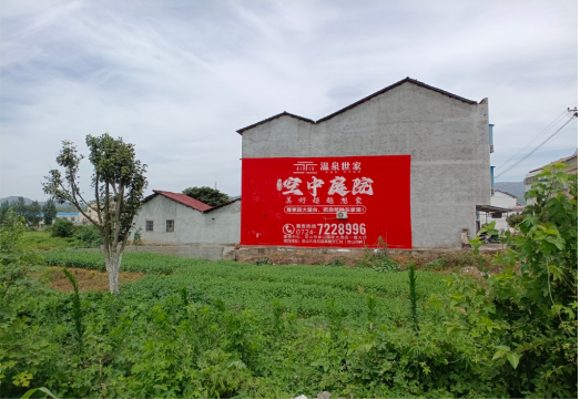 柞水做墙体广告的意义
