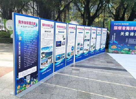 柞水KT板的种类和知识。